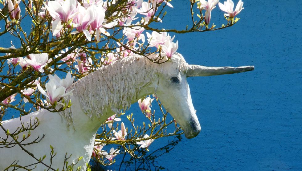 Den Frühling genießen - Das Einhorn liebt Magnolien © Monika Brunsmann-Hoxbergen