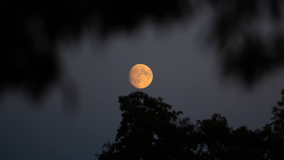 Den Mond eingerahmt © Jessica Plöse