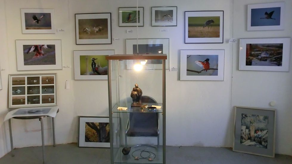 Naturfotos in der Kunstwerkschau in Krakow am See © Bernd Gerlich